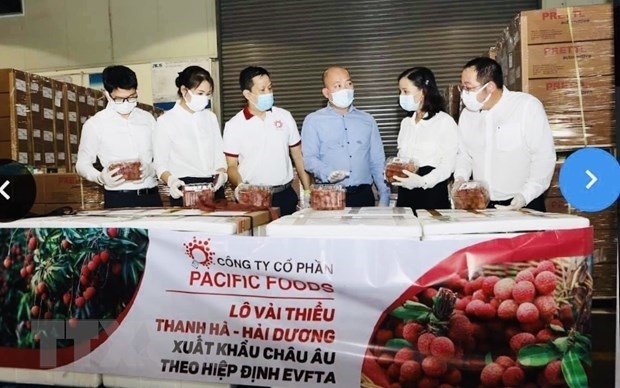 vietnamese lychees head for eu markets picture 1