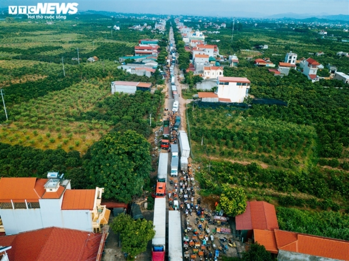 exploring the lychee capital of vietnam in harvest season picture 3