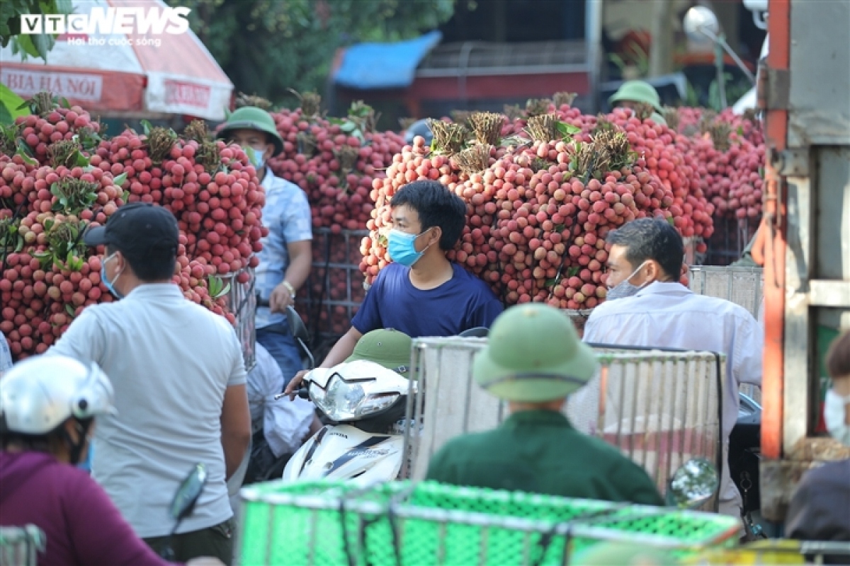 exploring the lychee capital of vietnam in harvest season picture 6