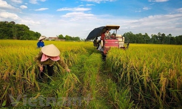 minister vietnam looks towards sustainable agriculture picture 1