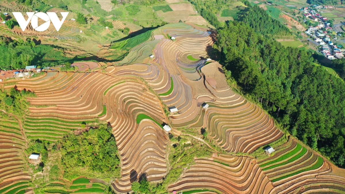 Local people begin their new rice crop in June so they can have their rice harvest season between the end of September and early October.