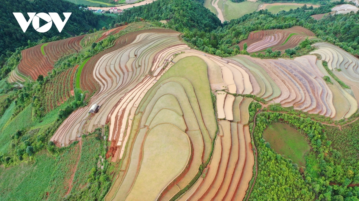 stunning beauty of mu cang chai terraced fields picture 6