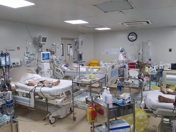 173 covid-19 patients in critical condition, 13 rely on ecmo picture 1