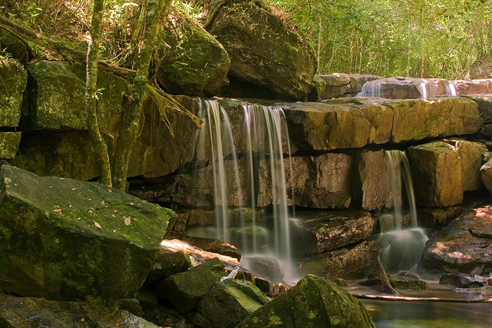 According to the website, Phu Quoc National Park is home to more than 1,000 species of plants and 200 species of animals. An increasingly rare old-growth forest runs directly throughout the park, with the site featuring dipterocarp trees which can grow to over 30m, equal to 100ft in height. Activities such as hiking and camping are also easily accessible from Ganh Dau village. (Photo: Andreas Rose / Alamy Stock Photo) 