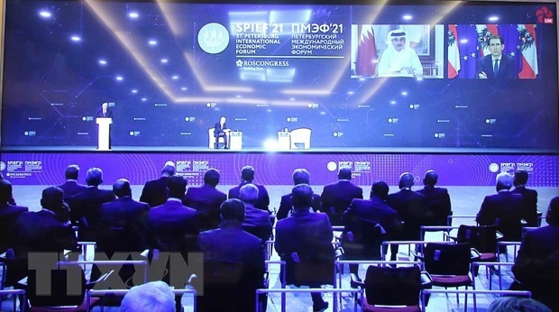 vietnam attends 24th st. petersburg international economic forum picture 1 vietnam attends 24th st. petersburg international economic forum picture 1