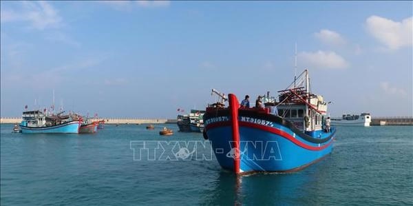The boat from Ninh Thuan province is among nearly 100 Vietnamese fishing vessels docked in the shelter area of Da Tay A Reef