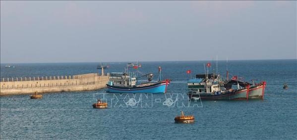Dozens of fishing vessels dock in the shelter area of Da Tay A Reef