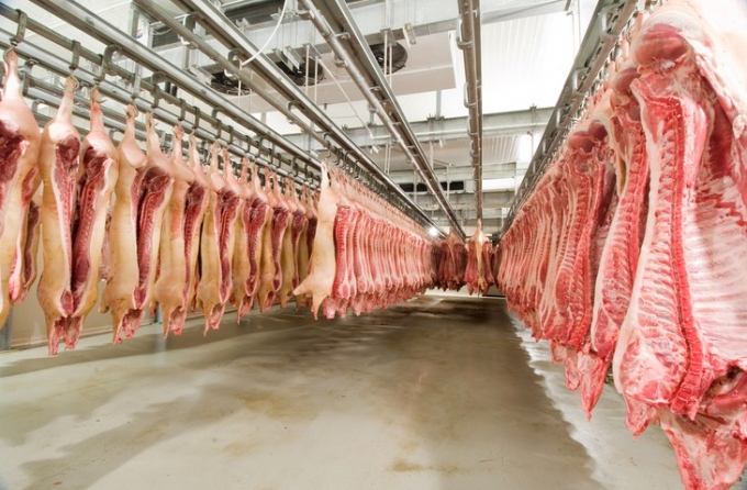 russia becomes largest pork supplier to vietnamese market picture 1