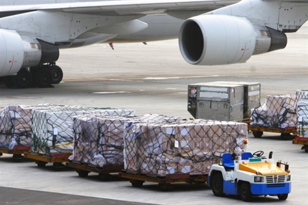 caav discusses establishment of vn s first cargo airline picture 1