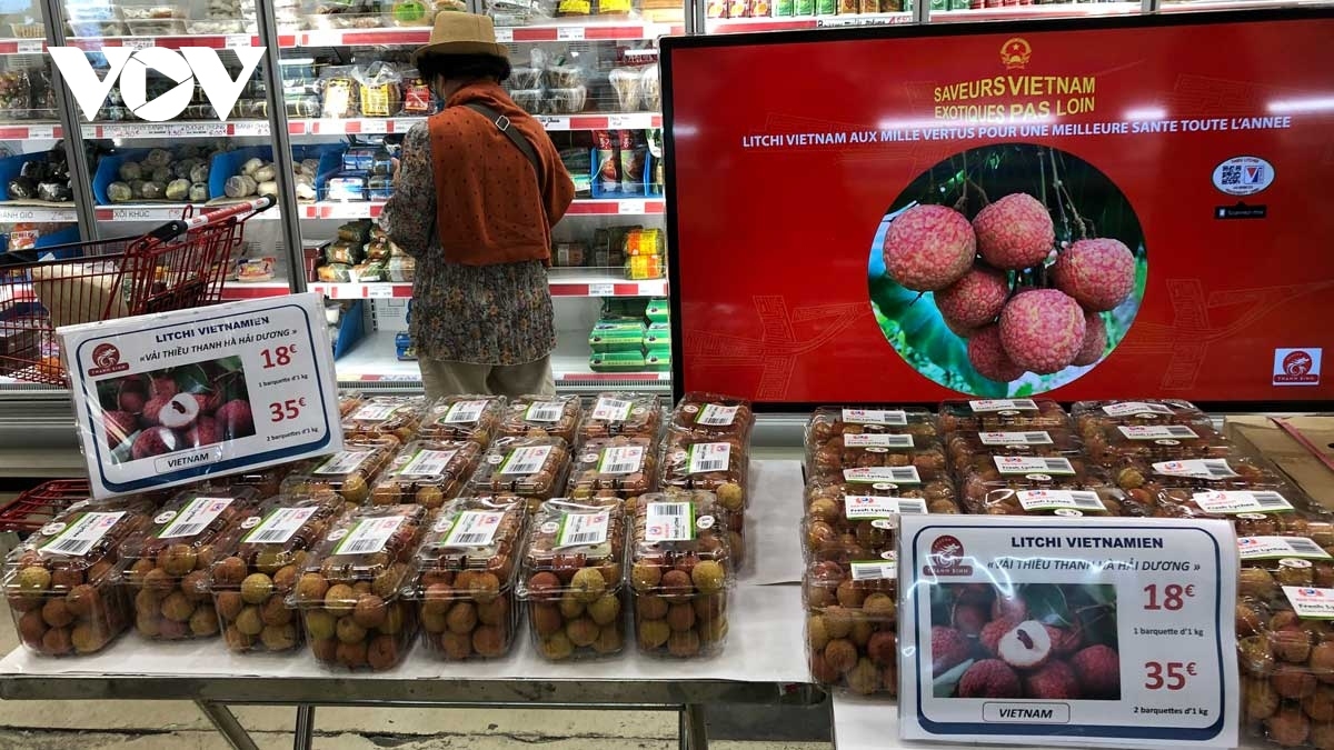 vietnamese lychees with origin tracing stamp hit shelves in france picture 1