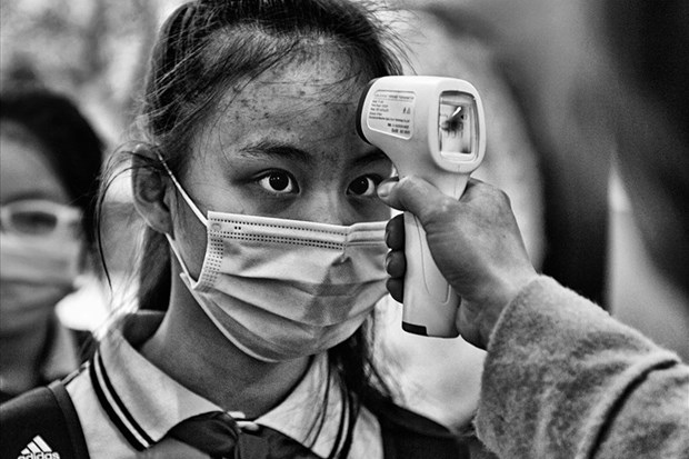 vietnamese photographers win prizes at spanish photo contest picture 1