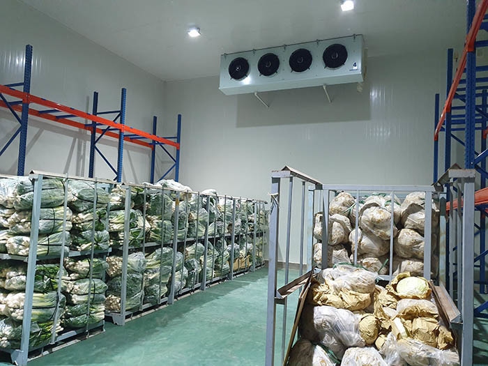 vietnam faces shortage of cold storage warehouses picture 1