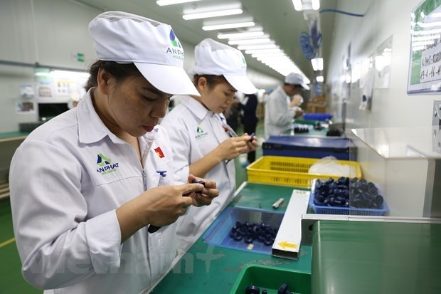 vietnamese firms overseas investment rises nearly 2.5-fold in h1 picture 1
