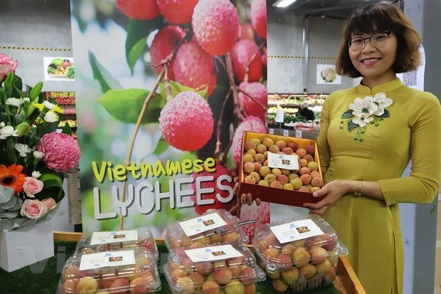 One kilo of Vietnamese fresh lychees was sold for AUD3,000 (US$2,254) at a special auction in Perth city of West Australia.