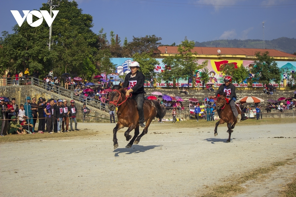 bac ha horse race becomes national intangible heritage picture 1