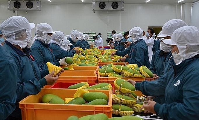 local fruit and vegetable sector sets export target of us 3.6 billion picture 1