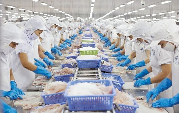 hcm city takes lead for seafood exports over five months picture 1