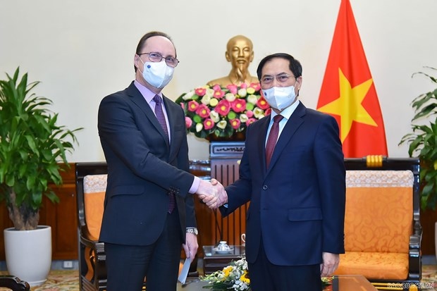 vietnam treasures comprehensive strategic partnership with russia fm picture 1
