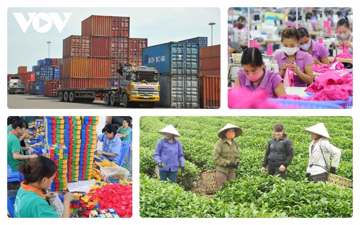 adb lowers vietnamese growth forecast for 2021 to 5.8 picture 1