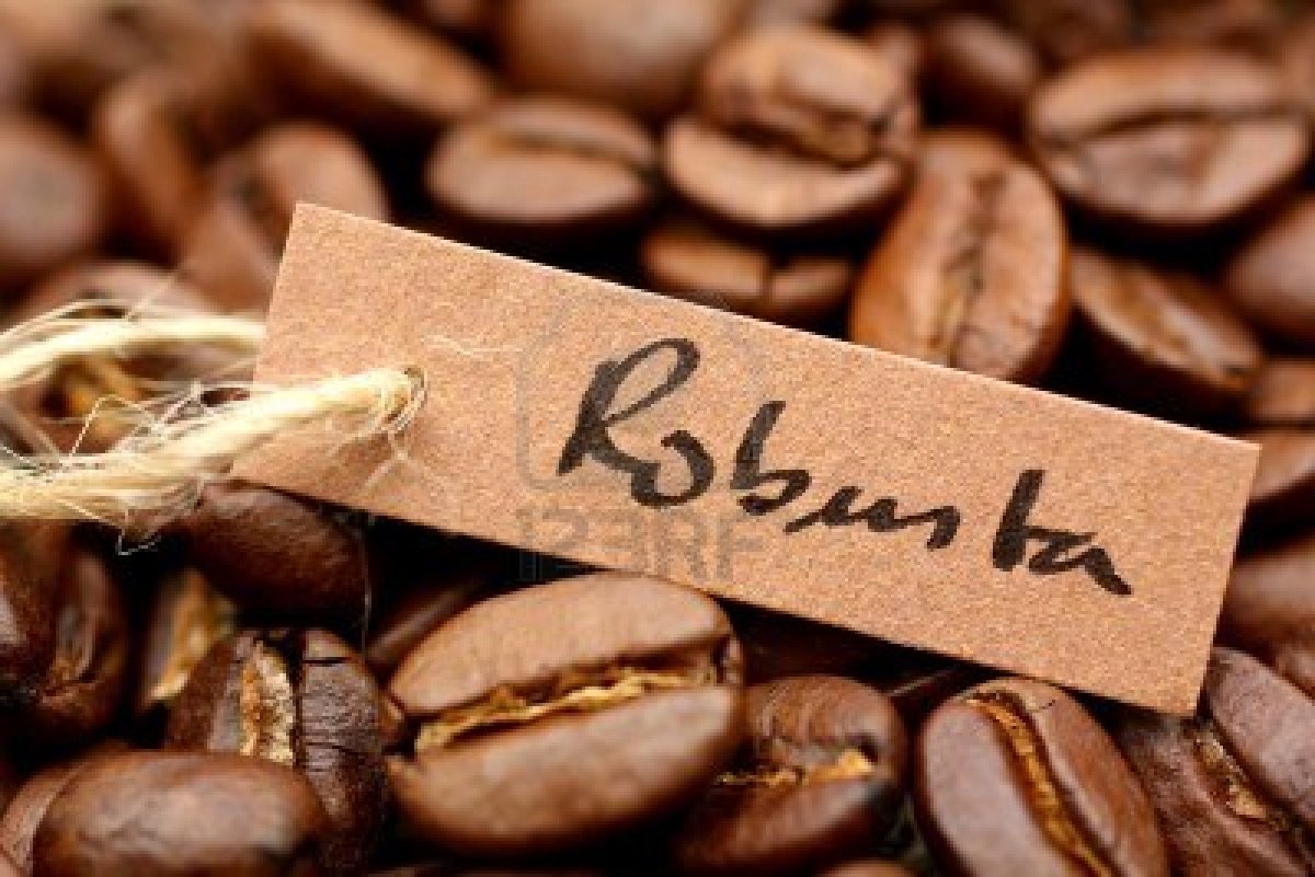 vietnam becomes fifth largest supplier of coffee to austria picture 1