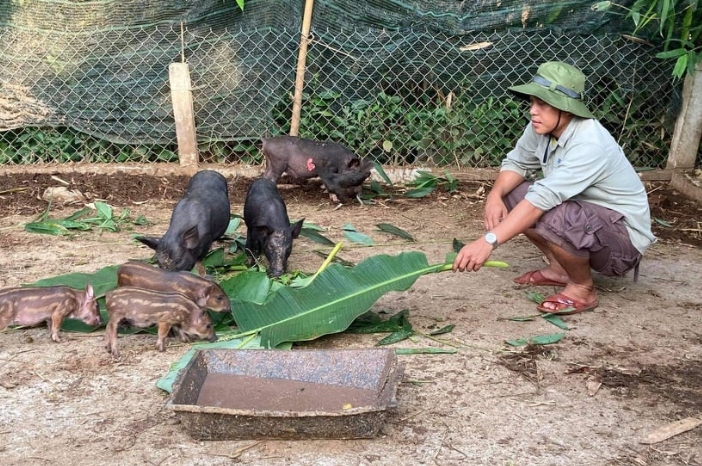 炫斗街机西游记游戏下载