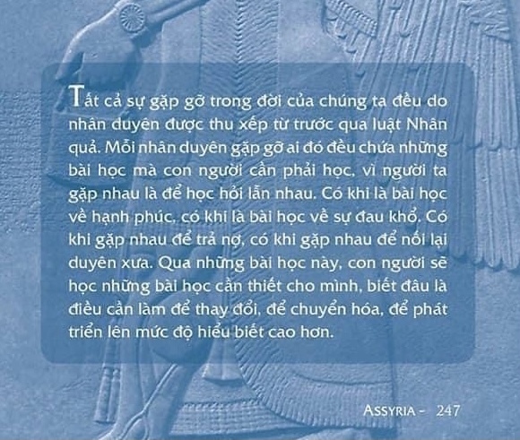 30 kham pha thuc su giup ban thuc tinh vuot qua dai dich bien the hinh anh 3