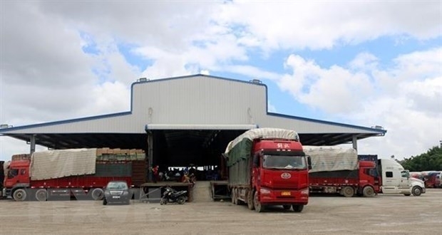 over 1 million tonnes of goods channelled through quang ninh s mong cai border gate picture 1