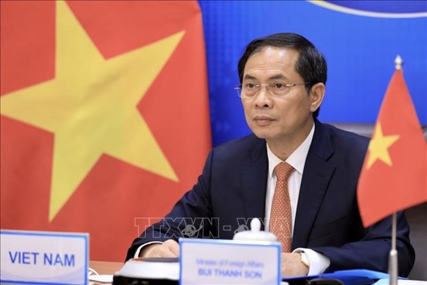 Vietnamese Minister of Foreign Affairs Bui Thanh Son (Photo: VNA)
