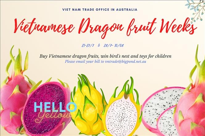 vietnamese dragon fruit favourite with australian consumers picture 1