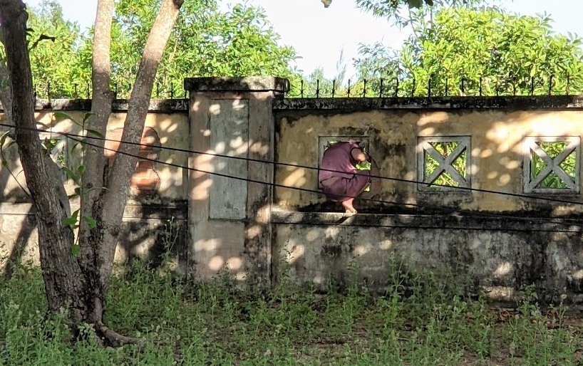 F0 chui tường ra khỏi bệnh viện hái lá xông