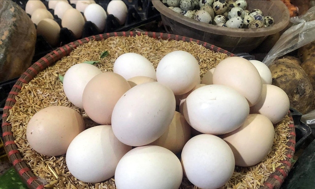 Vì sao giá trứng gà, vịt tăng tới 6.000 đồng/quả? | VOV.VN