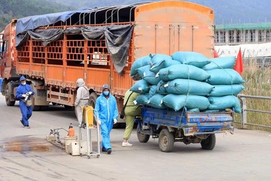 Tạo luồng “ưu tiên đặc biệt” cho hàng hóa thiết yếu về TP.HCM