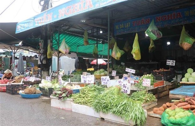 hcm city to reopen wet markets to ease pressure on supermarkets picture 1 hcm city to reopen wet markets to ease pressure on supermarkets picture 1