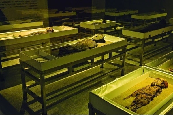 Những xác ướp được khai quật của người Chinchorro. Ảnh: R6nationals.