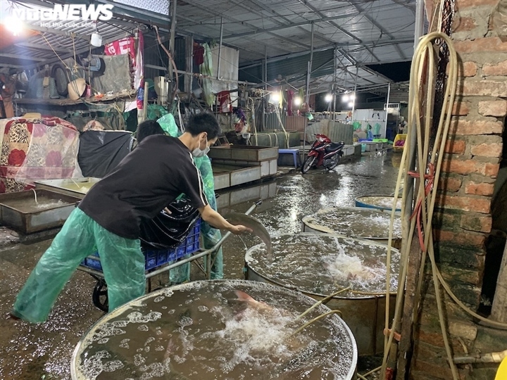 cho ca lon nhat ha noi hoang vang, tieu thuong nghi qua nua vi covid-19 hinh anh 12