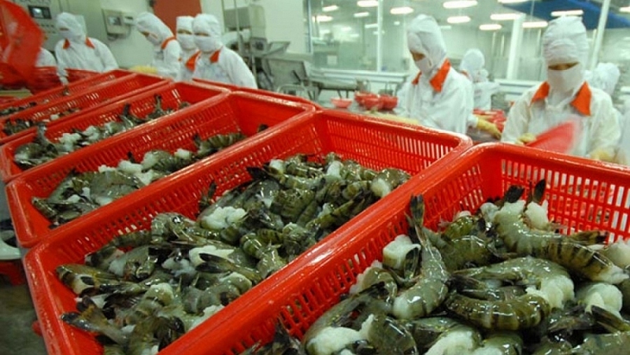 shrimp exports witness robust growth in fta markets picture 1