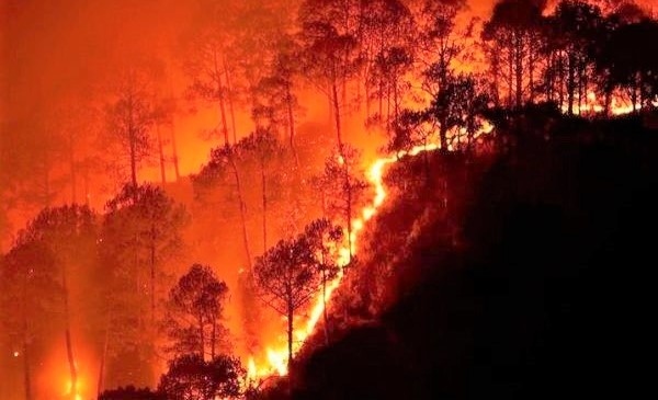 Cháy rừng lan rộng Hàn Quốc ban bố tình trạng thảm họa ở khu vực Uljin