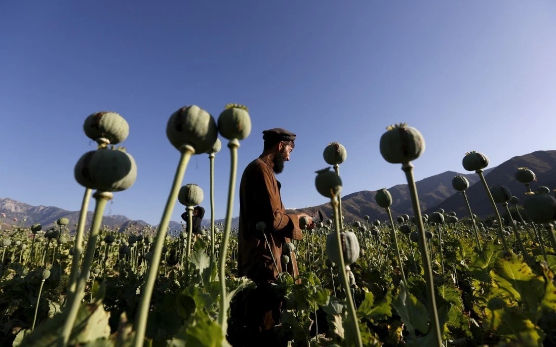 Trung Quốc lo ngại mối đe dọa từ buôn lậu ma túy khi Taliban nắm ...