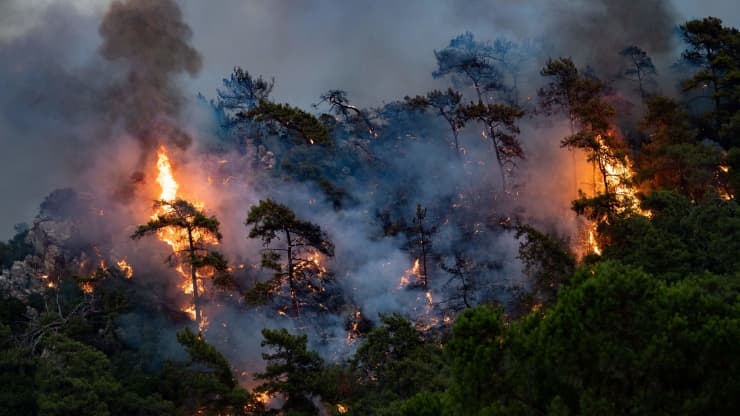 Cháy rừng ở Mugla, quận Marmaris, Thổ Nhĩ Kỳ ngày 2/8/2021. Ảnh: AFP