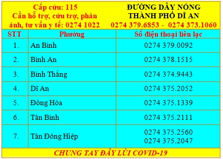 binh duong cong bo danh sach duong day nong cap xa de ho tro nguoi dan hinh anh 3