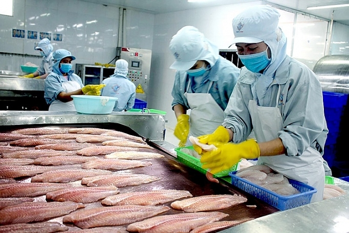 Positive outlook for pangasius exports to Brazilian market