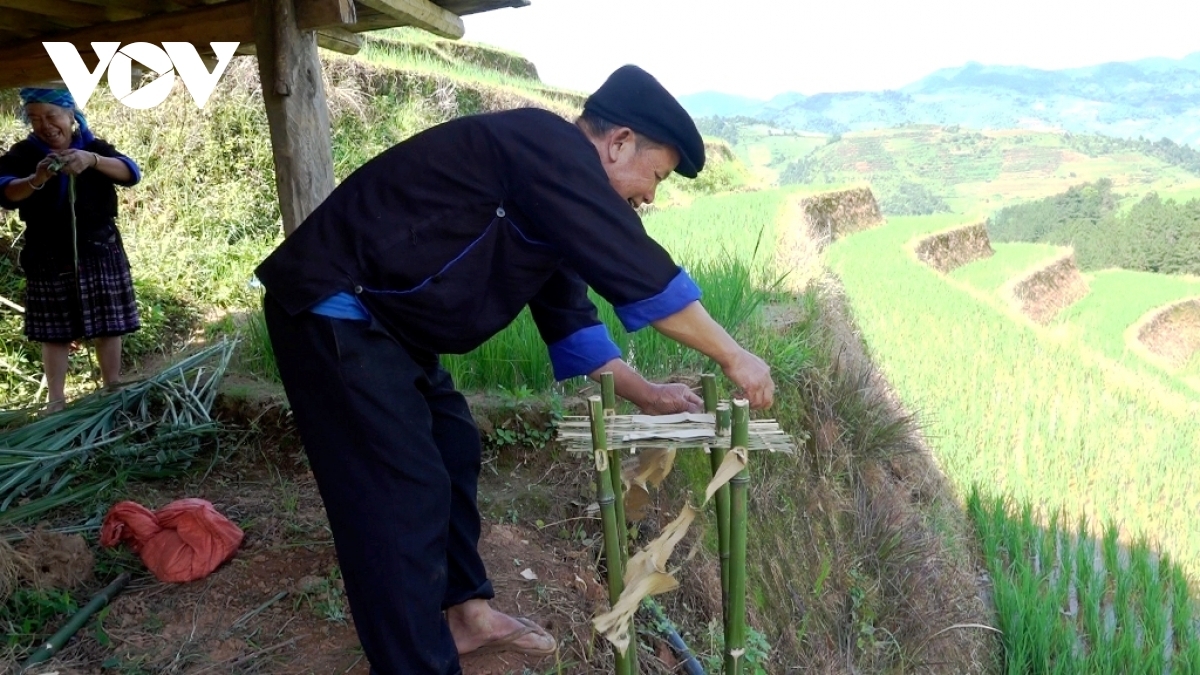 unique terraced field worshiping ceremony of mong ethnic people picture 4