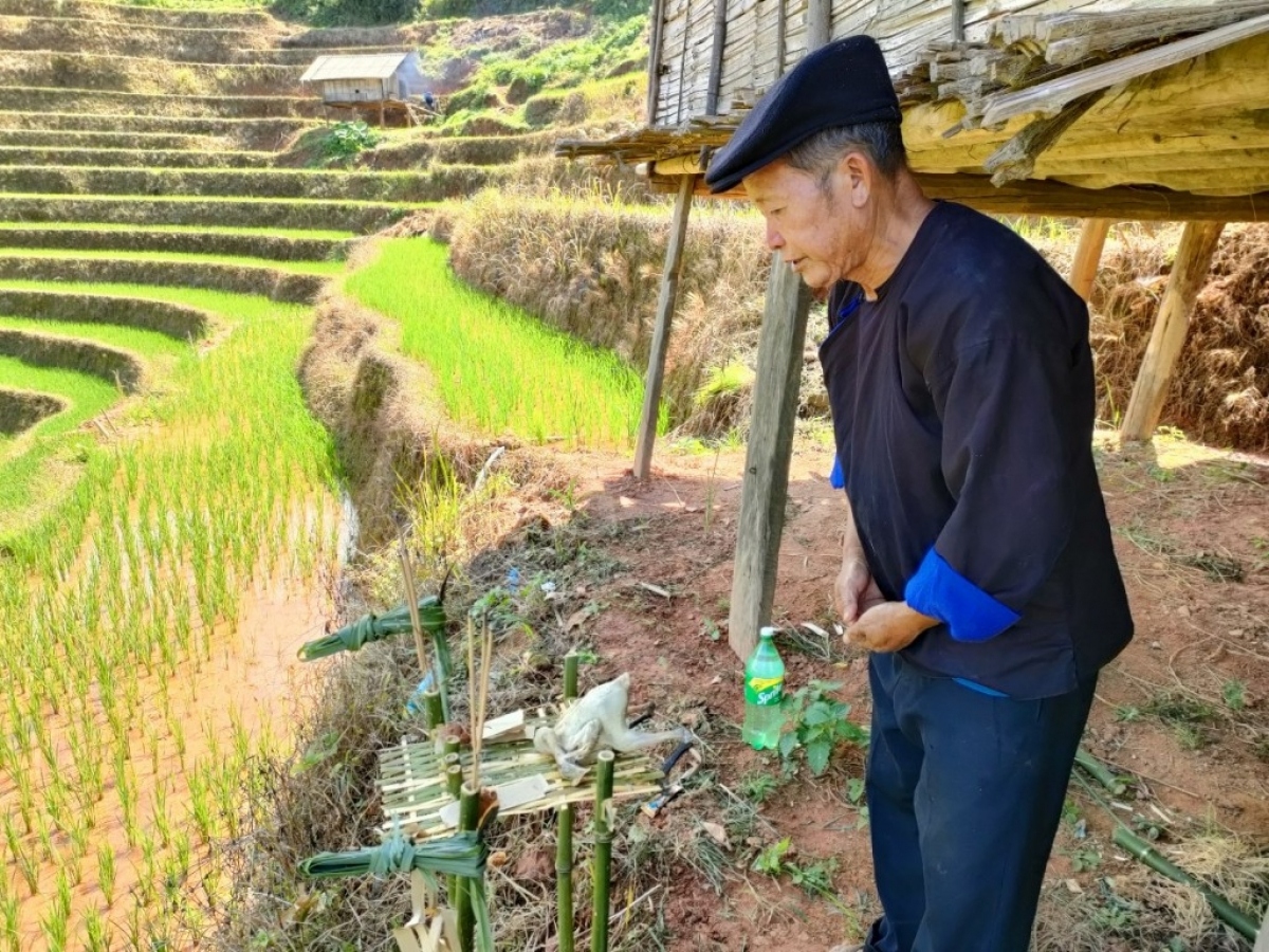 unique terraced field worshiping ceremony of mong ethnic people picture 9