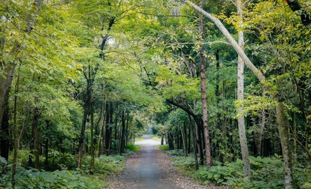 forestry production expected to rise 5.5 annually in 2021-2025 period picture 1