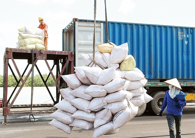 prices of export rice fall to lowest figure in two years picture 1