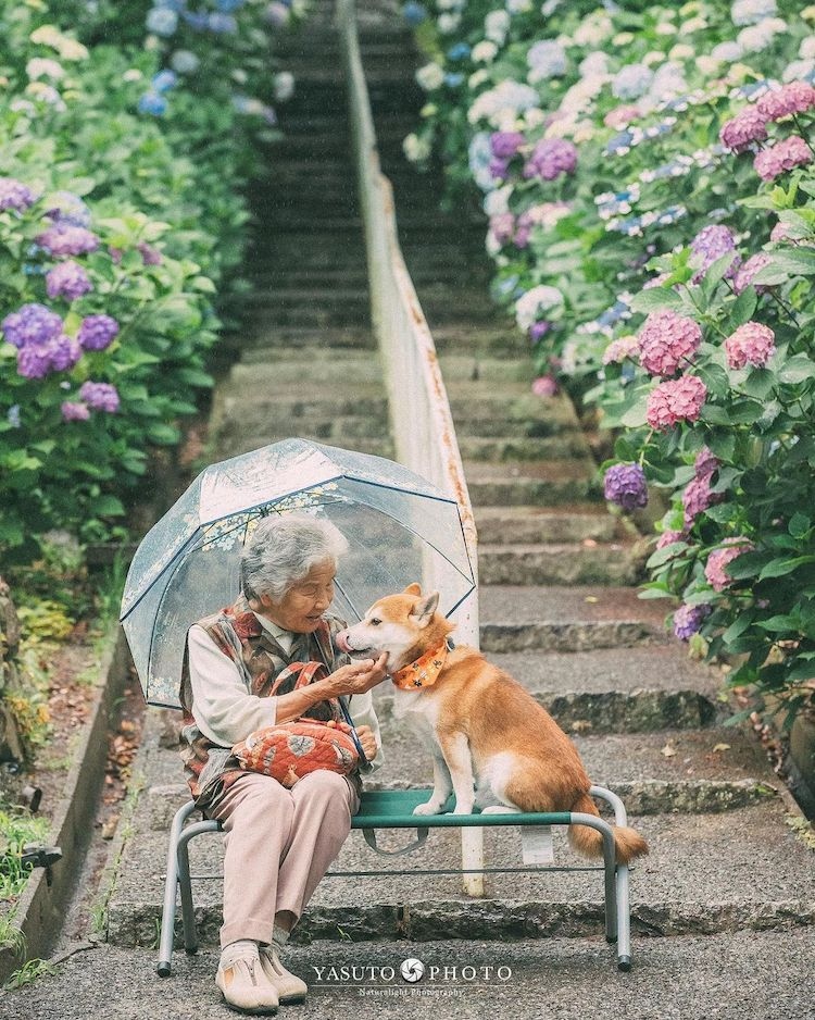 Bộ ảnh đẹp đến nao lòng về người bà và chú chó cưng | VOV.VN