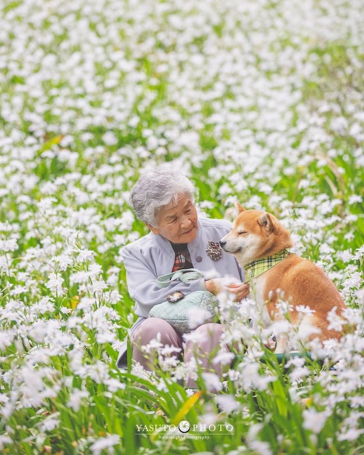 bo anh dep den nao long ve nguoi ba va chu cho cung hinh anh 3