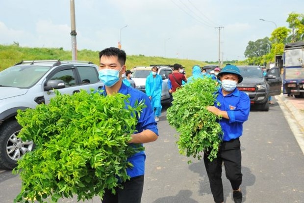 hanoi s youths join hands to fight pandemic picture 1