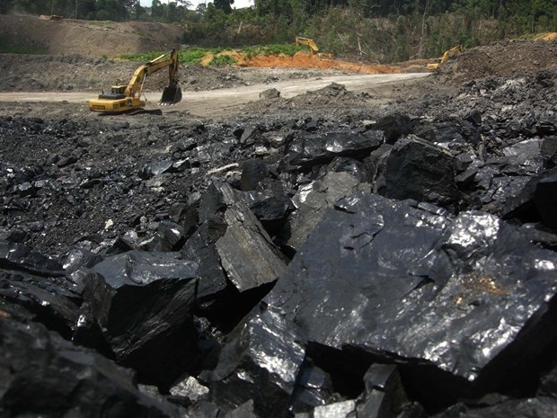vietnamese importers warned of 34 suspended indonesian coal exporters picture 1