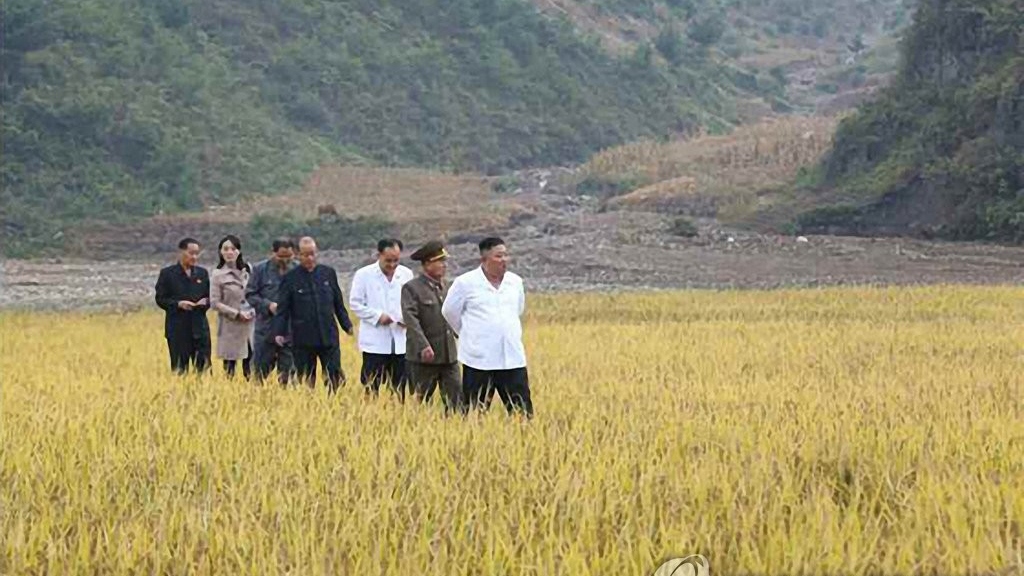 Nhà lãnh đạo Triều Tiên Kim Jong-un thăm cánh đồng lúa ở tỉnh Gangwon. Bức ảnh do Rodong Sinmun cung cấp ngày 2/10/2020.